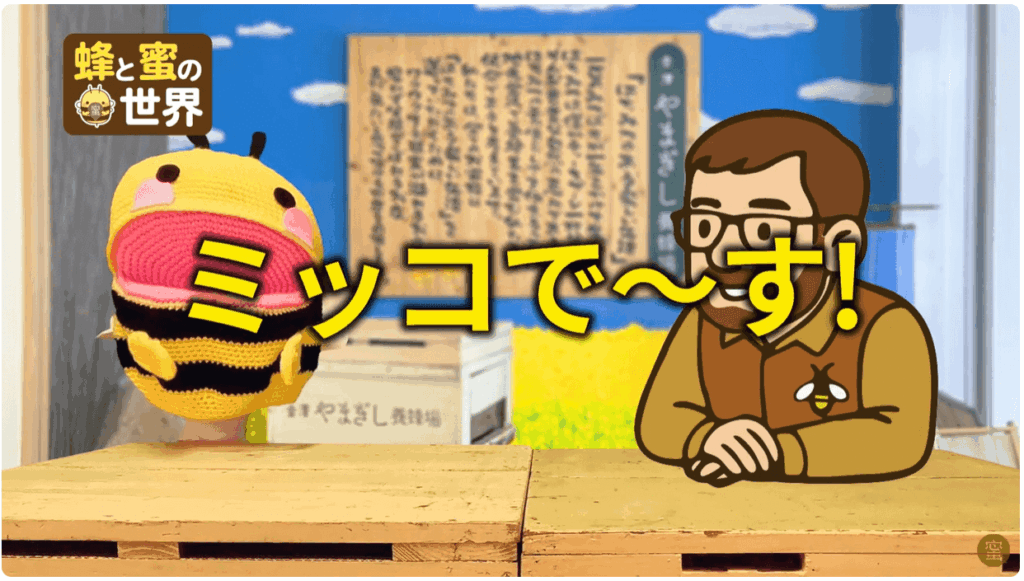 YouTubeチャンネルにて「蜂と蜜の世界」スタートしました！