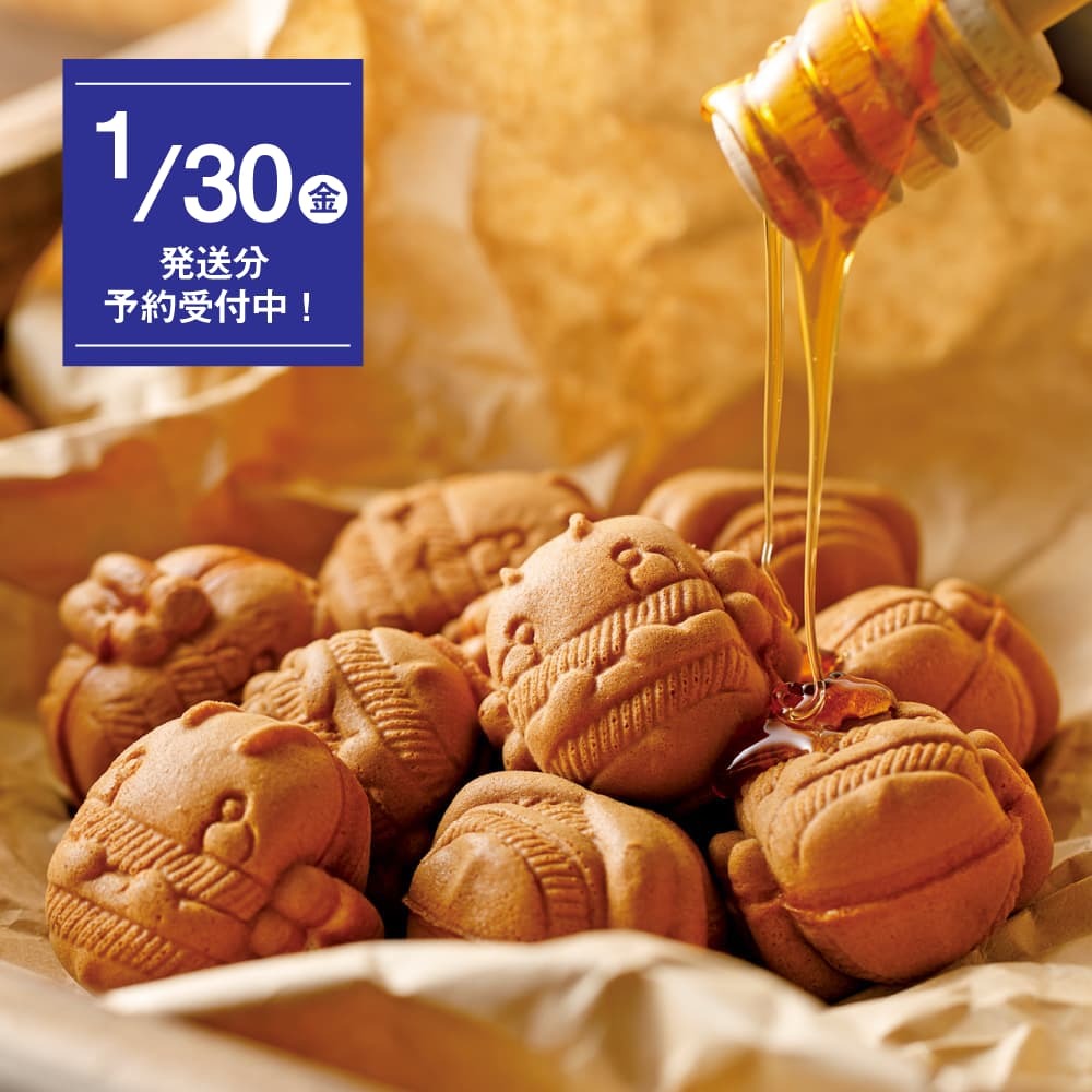 養蜂家が作る ベビーカステラ　16個入（あかしあ大地スティック付き）