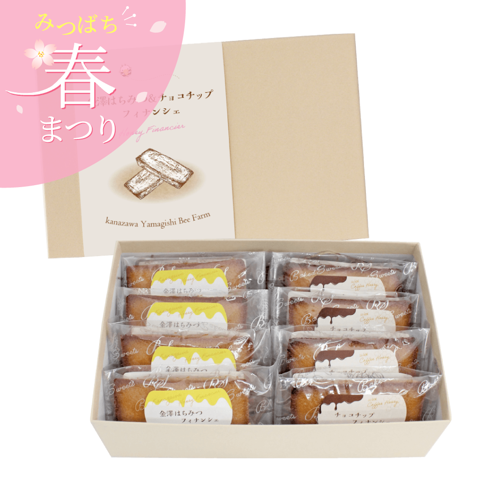 はちみつフィナンシェ（プレーン・チョコチップ）8個入り