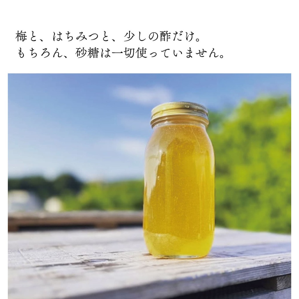 紅映梅のはちみつ漬 290g ｜ 金沢のはちみつ通販 金澤やまぎし養蜂場
