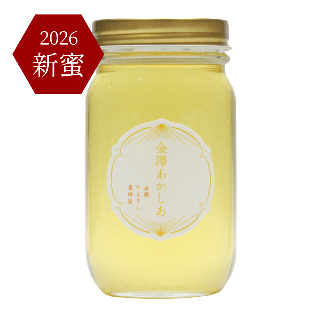 【2026年産 新蜜】金澤あかしあ　300ｇ［自社養蜂場産］
