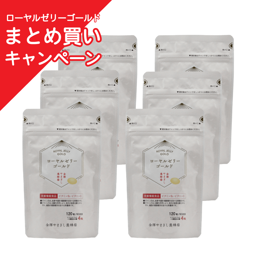 ローヤルゼリーゴールド120粒　6袋セット