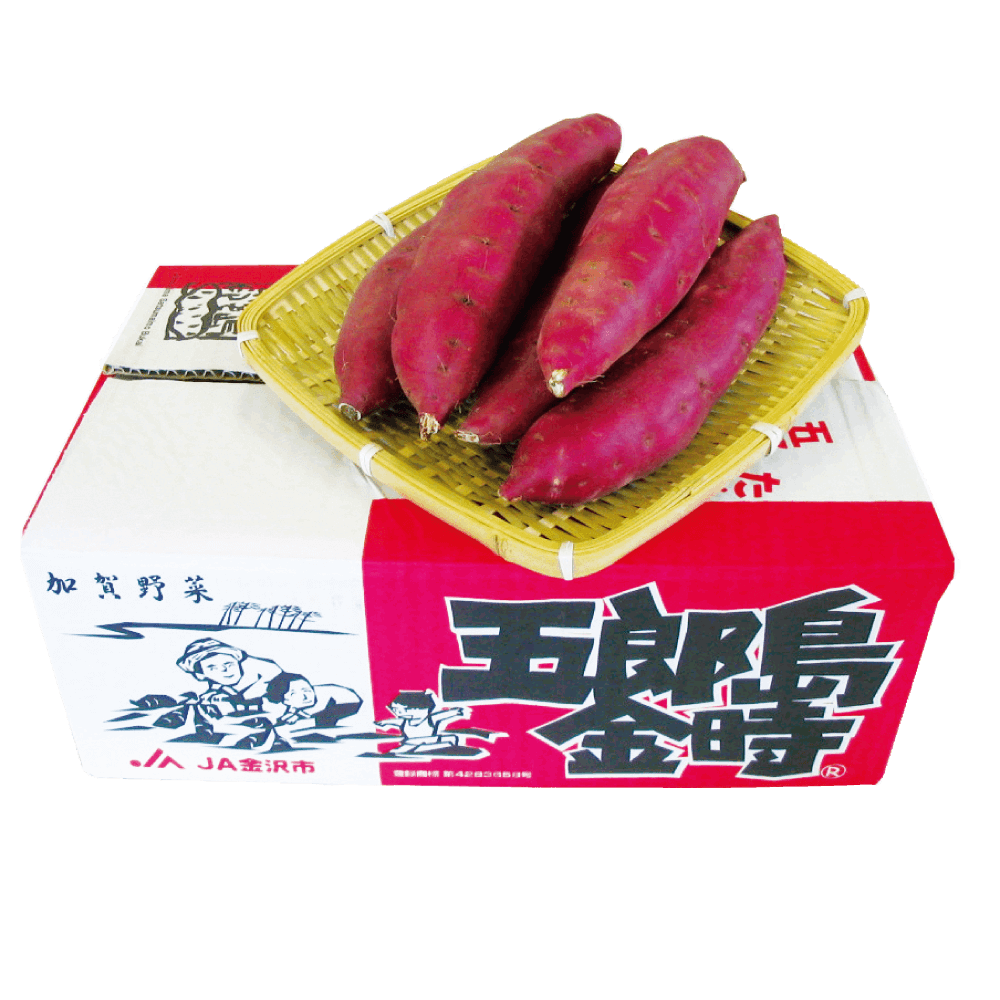 さつまいも五郎島金時　約３ｋｇ