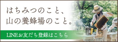 LINEお友だち登録はこちら