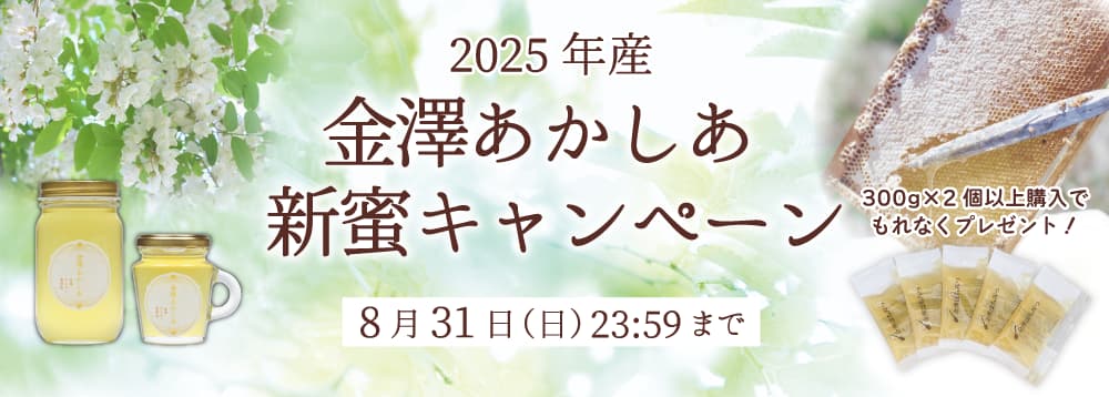 金澤あかしあ新蜜キャンペーン