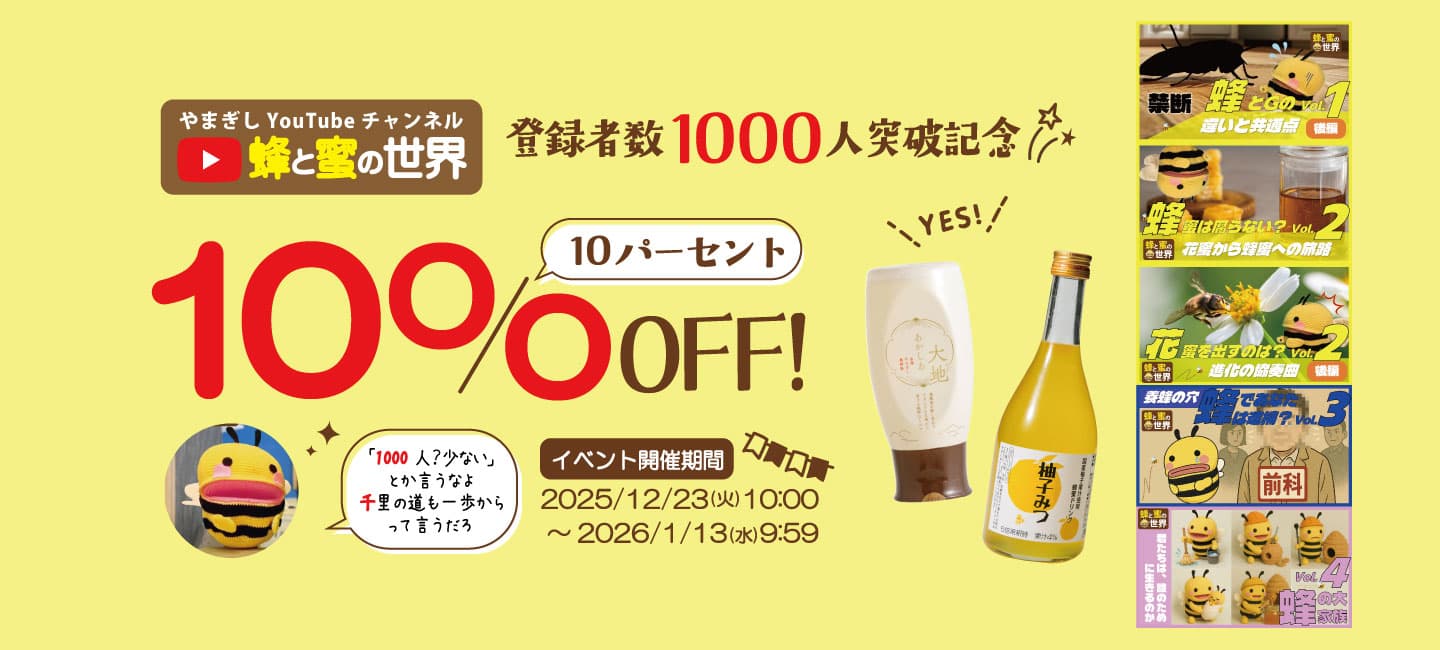 Youtube登録者数1000人突破記念セール