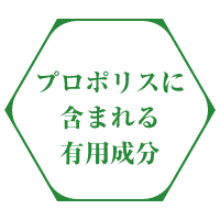 プロポリスに含まれる有用成分