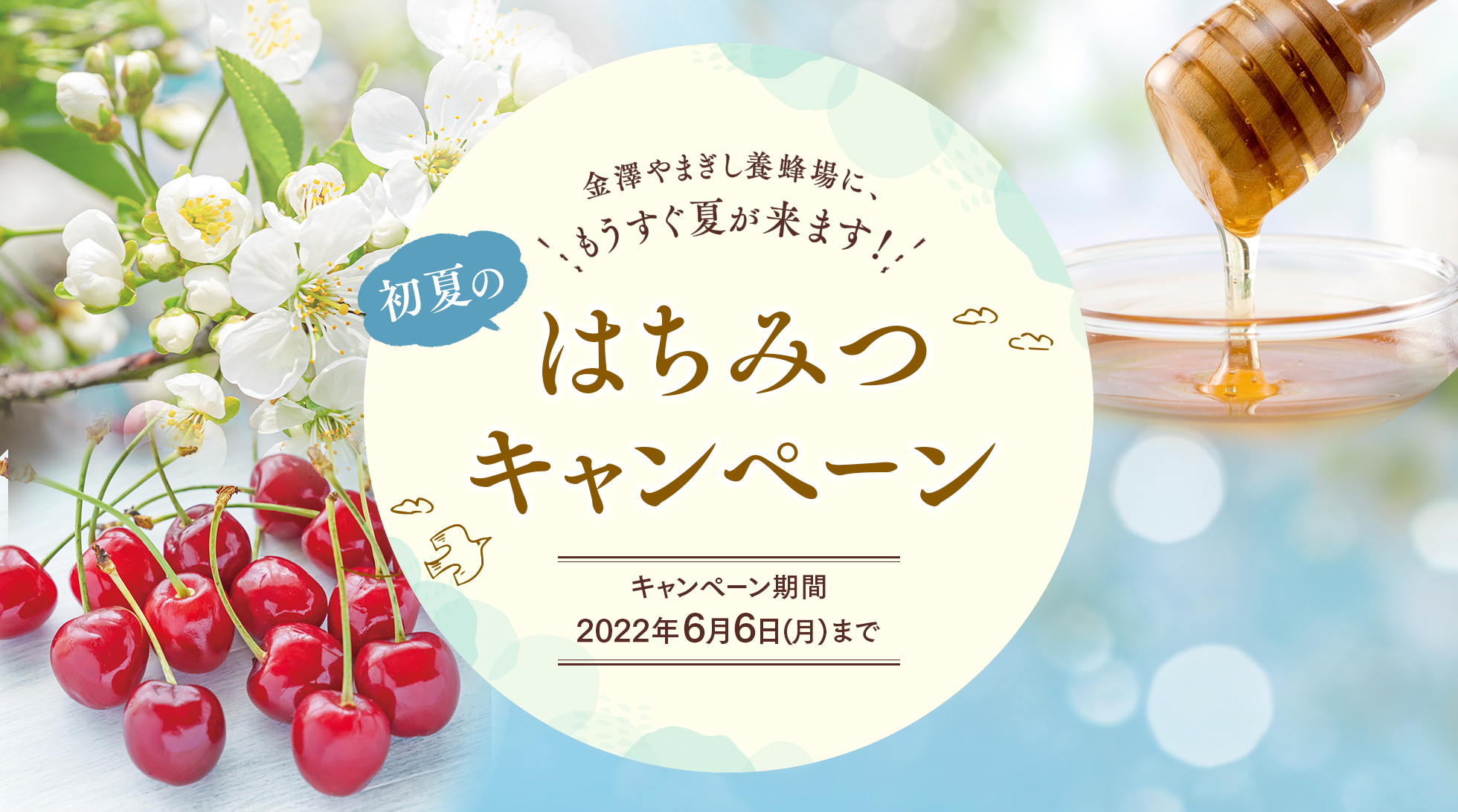 金澤やまぎし養蜂場 初夏のはちみつキャンペーン 2022年6月6日(月)まで