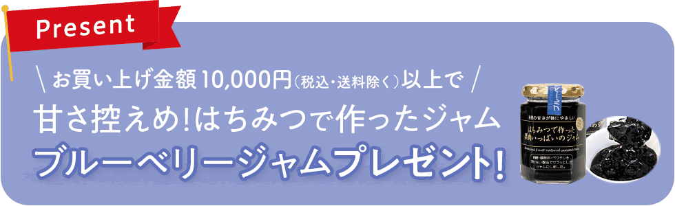 ブルーベリージャムプレゼント
