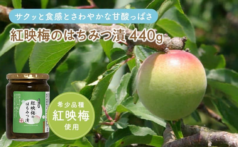 紅映梅のはちみつ漬 440g