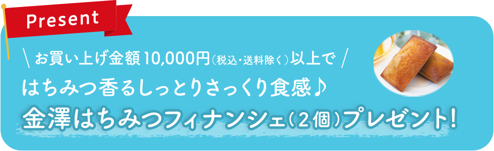 キャンペーン期間中10,000円以上(税込・送料除く)のご購入ではちみつ香るしっとり食感のはちみつフィナンシェをプレゼント!