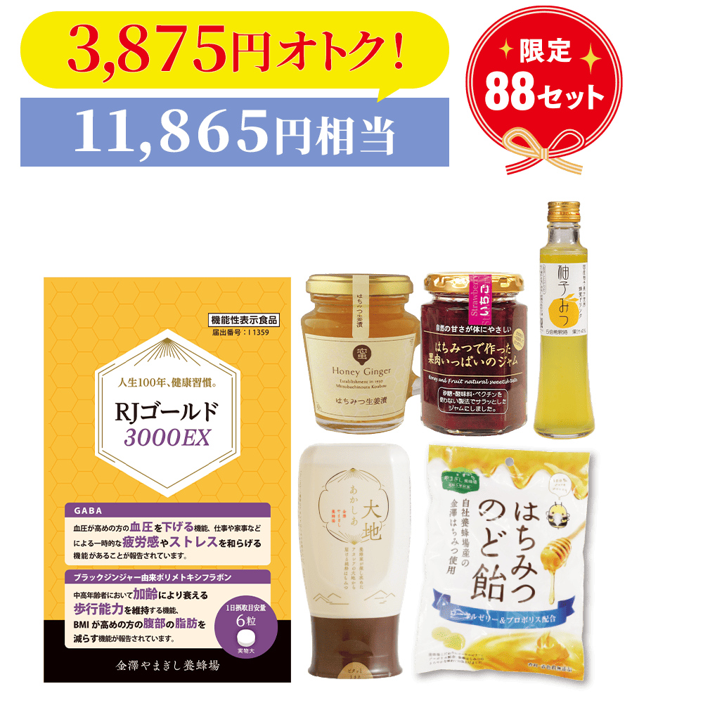 【限定88セット】ＲＪゴールド３０００ＥＸ福袋