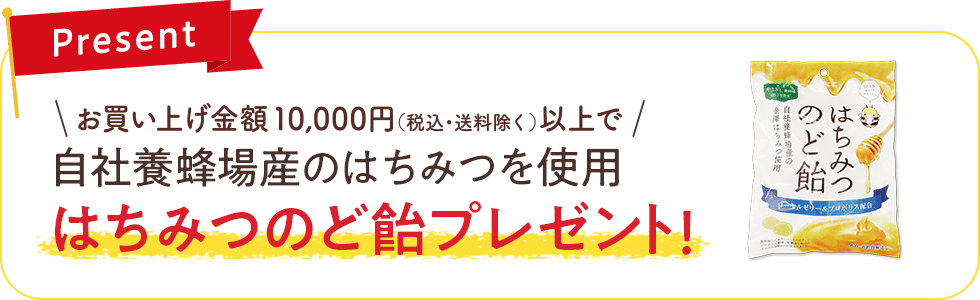 キャンペーン期間中10,000円以上(税込・送料除く)のご購入でやまぎしはちみつのど飴をプレゼント！