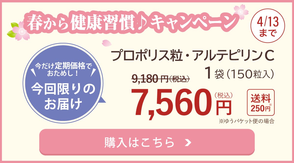 春キャンペーンPP粒特別価格