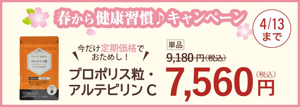 春キャンペーンPP粒特別価格