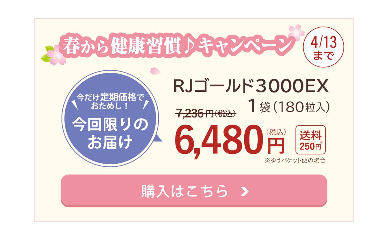 RJゴールド3000EX特別価格