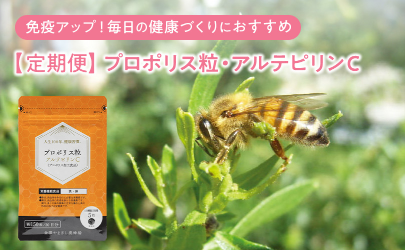 【定期便】プロポリス粒・アルテピリンC