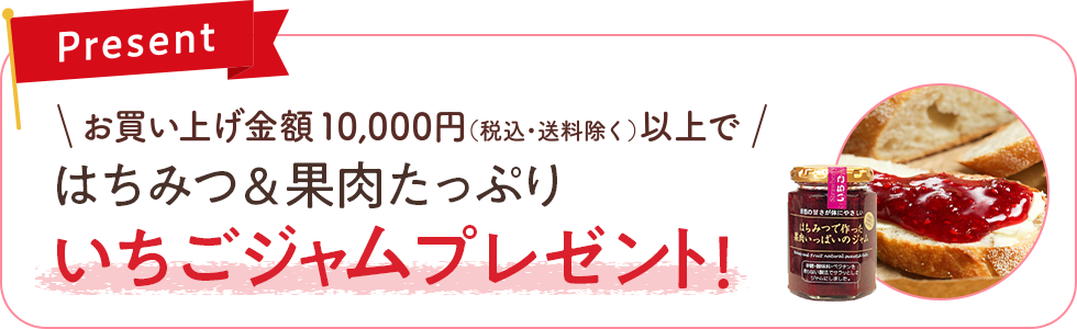 キャンペーン期間中10,000円以上(税込・送料除く)のご購入でやまぎしはちみつのど飴をプレゼント！