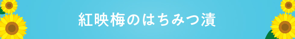 紅映梅のはちみつ漬