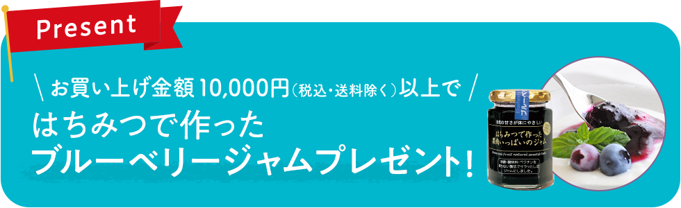 キャンペーン期間中10,000円以上(税込・送料除く)のご購入ではちみつで作ったブルーベリージャムをプレゼント！