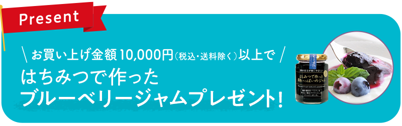 みつばち夏まつり2026 ｜ 金沢のはちみつ通販 金澤やまぎし養蜂場