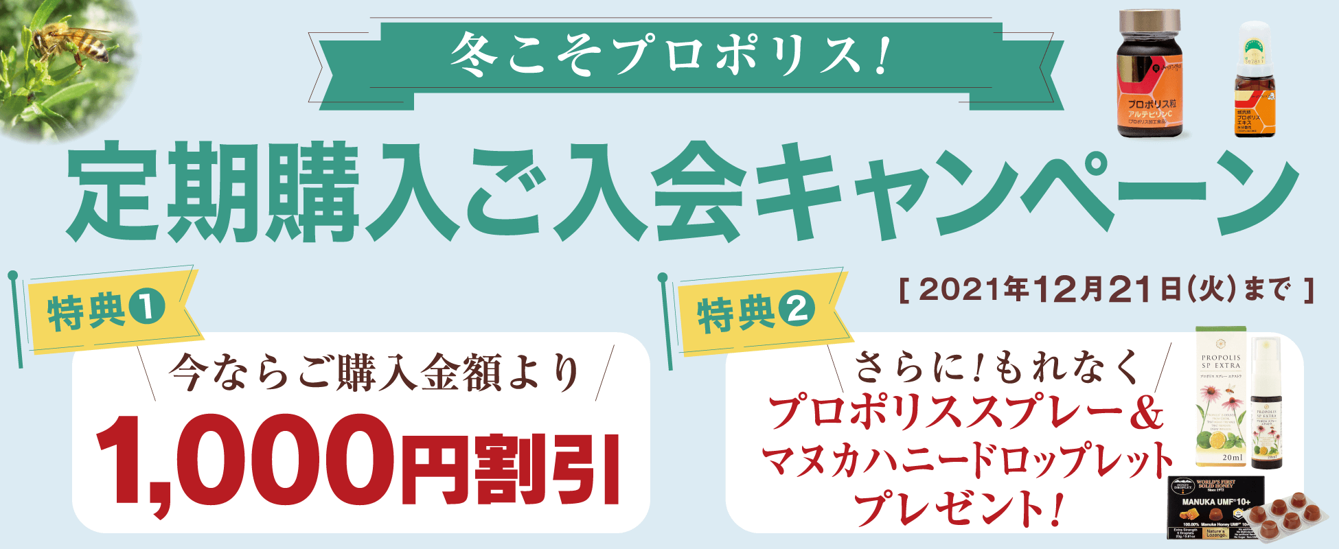 プロポリス定期購入ご入会キャンペーン