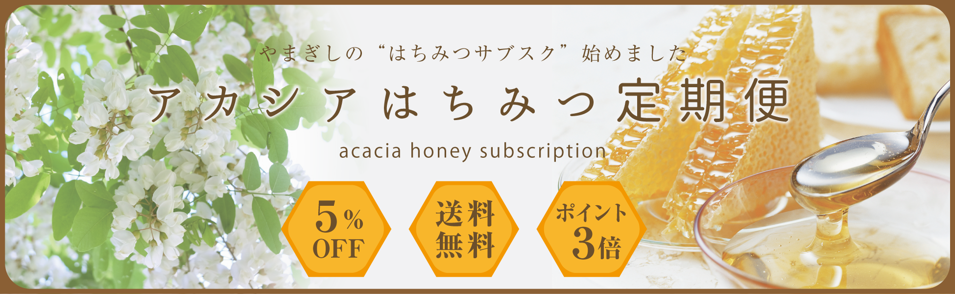 アカシアはちみつ定期便