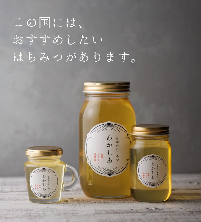 日本蜜蜂 蜂蜜 国産 600g×6本【2023年2月採蜜‼️】 日本蜜蜂 蜂蜜 国産 600g【2022年1月採蜜‼️】 - メルカリ
