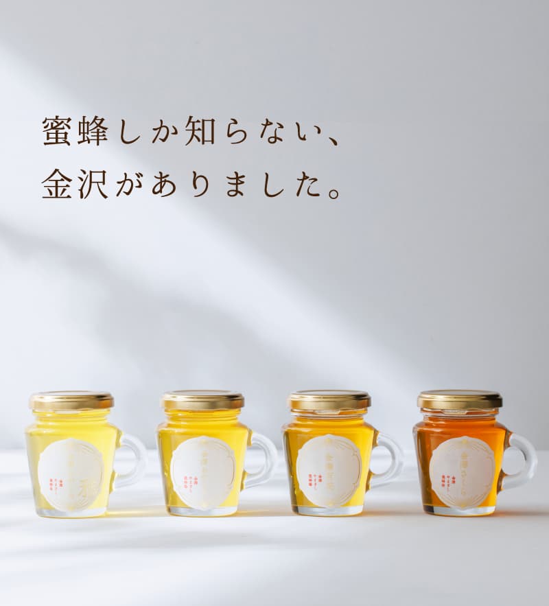 はちみつ　あやっちさま専用 はちみつ あやっちさま専用