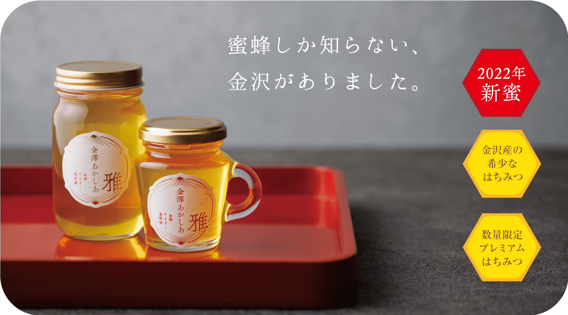 国産蜂蜜 アカシア蜜 300g 2本 長野県産 生はちみつ 純粋蜂蜜 3-26T