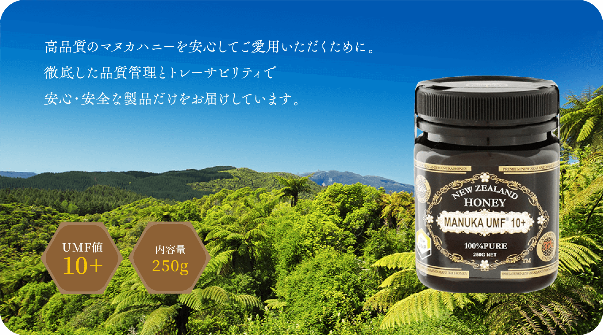 マヌカハニーUMF10+ 250g【大人気】オススメのマヌカハニー | 金澤 ...