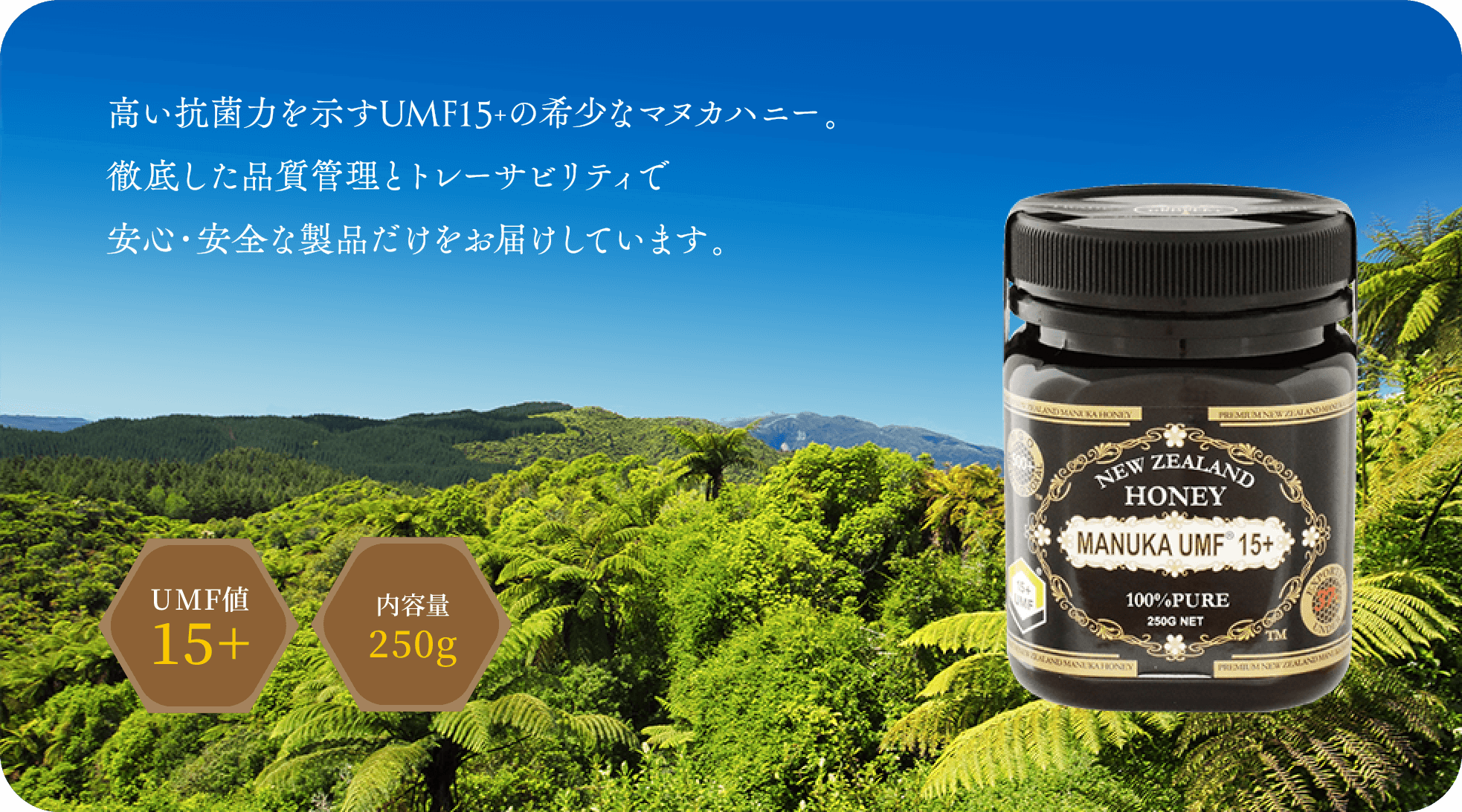 予約 えるみストアHONEY DROPLET マヌカハニーUMF15 MGO500 ハニー