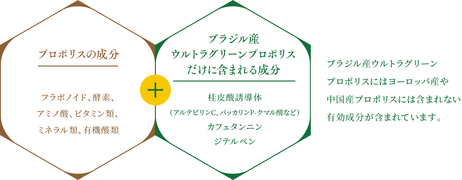 最高級ウルトラグリーンプロポリスを％使用 プロポリス ｜ 金澤