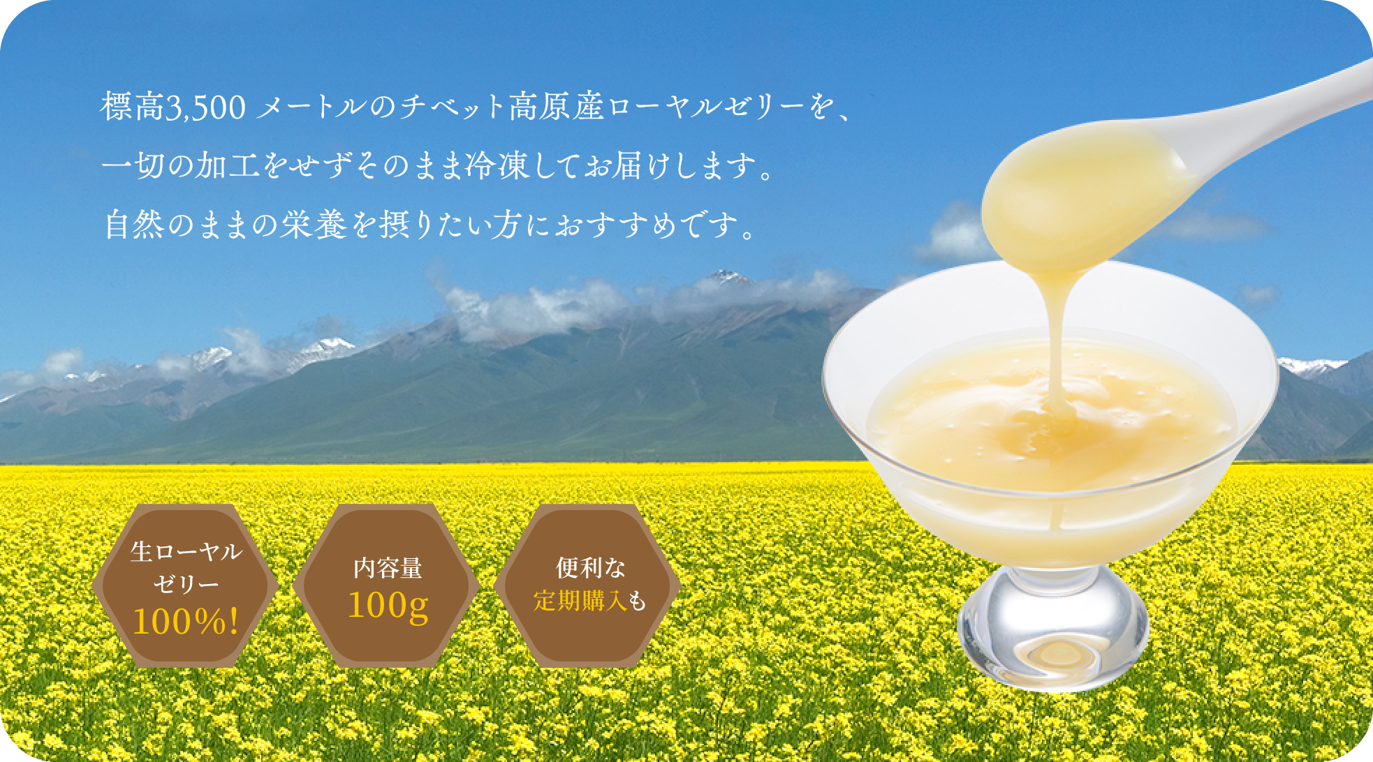 チベット青原生ローヤルゼリー 100ｇ 3本セット 金澤やまぎし養蜂場オンラインショップ